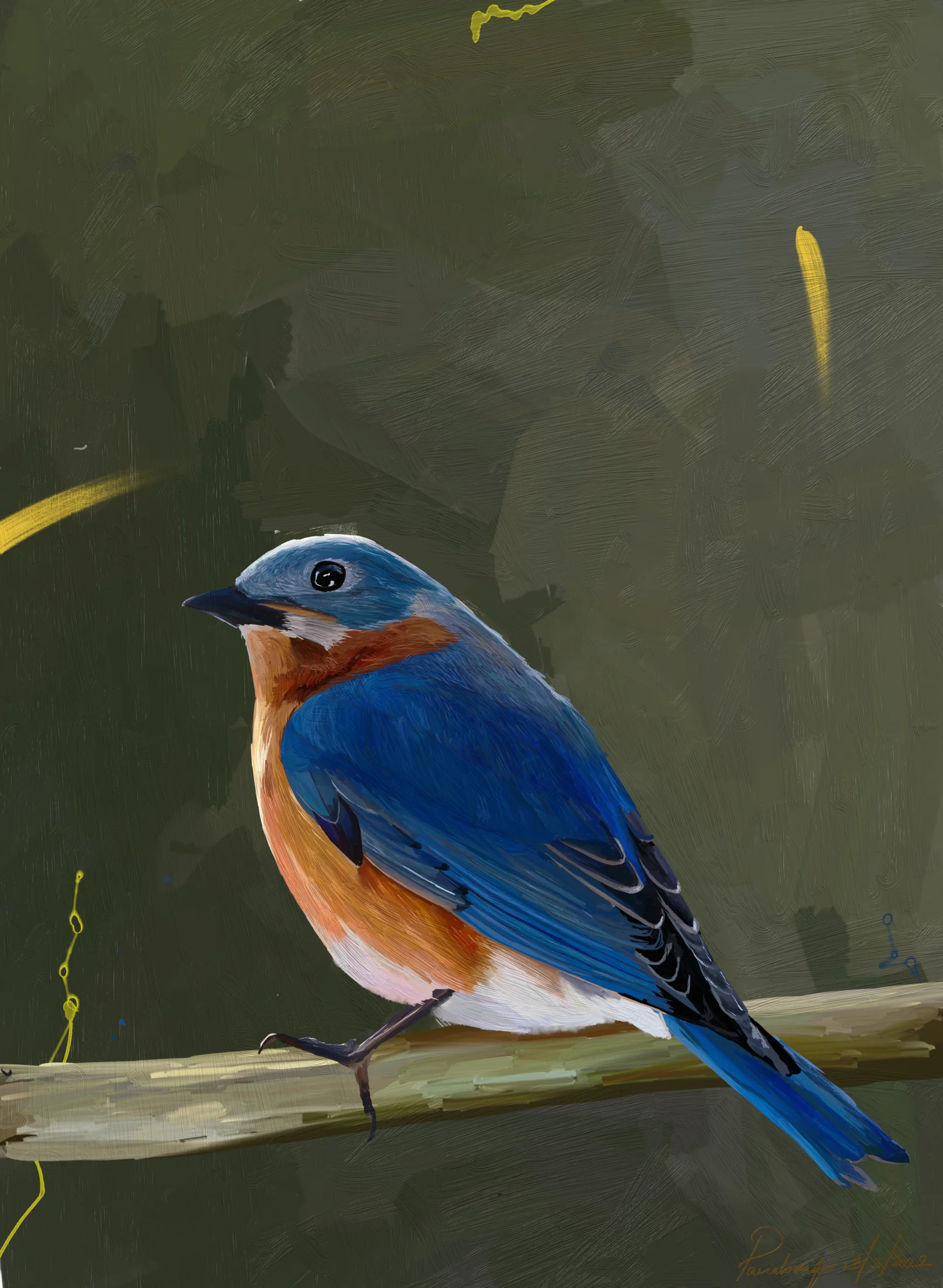 Mountain Blue Bird